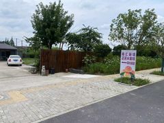 -南汇新场正宗水蜜桃采摘