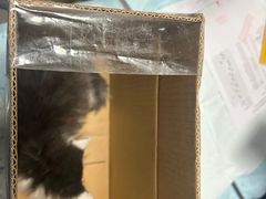 -半岛宠物医院24小时(科华中路店)