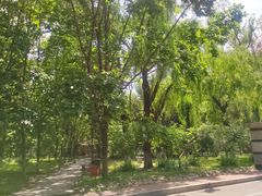 -黑龙江大学