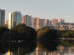 -南宁南湖公园
