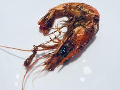 -大渔之观(安贞店)
