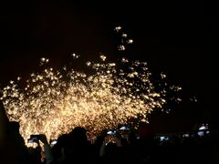 -武清南湖绿博园