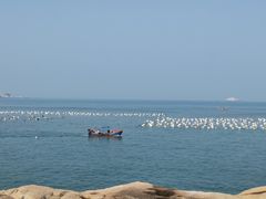 -东极岛景区
