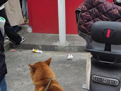 -许阿姨糕团店(南京总店)