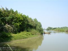 -大湾区中央湿地公园