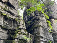 -梭布垭石林景区