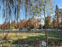 -东湖落雁景区