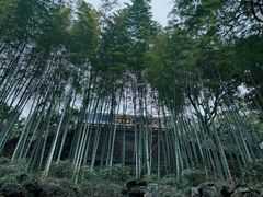 -灵隐飞来峰景区