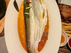 清蒸白水鱼-醉庐·新上海菜(南京西路店)