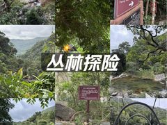 -海南热带雨林国家公园吊罗山景区