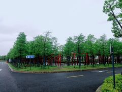 -春花秋色城市公园