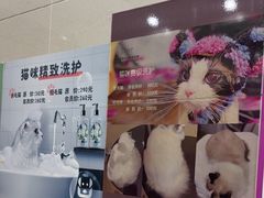 -北京观赏动物医院·24小时大型综合·猫专科·异宠专科