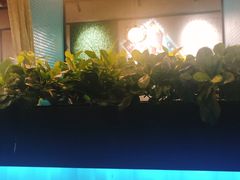 -东椰·海南椰子鸡火锅(朝阳门店)