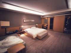 -河源万绿湖美思威尔顿酒店