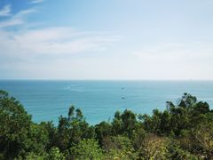 -广东惠东海龟国家级自然保护区