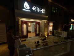 -柯斗斗主题餐厅·狗咖·围炉煮茶·茶饮(国瑞升平里店)