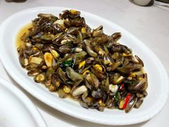 薄壳炒金不换-潮人姐妹轩(海宁路店)