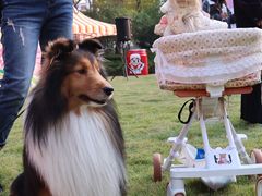 -上海神旺大酒店