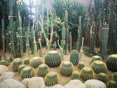 -祥源·阜阳生态乐园