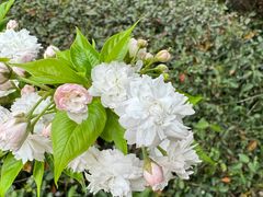 -白塘生态植物园
