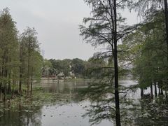 -东山湖公园