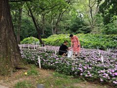 -沈阳植物园