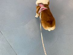 -全心全意动物诊疗中心医院(北苑店)