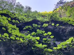 -野三坡百里峡景区