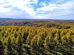 -塞罕坝国家级自然保护区