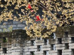 -樱桃山旅游景区