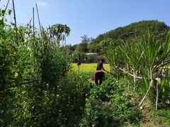 -红山村