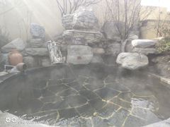 -仁爱团泊湖温泉中心