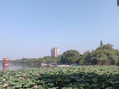 -济南大明湖景区