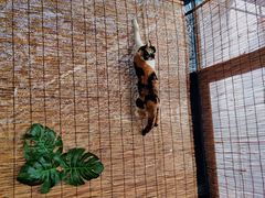 -美家乐农庄·露营·团建(大治路店)