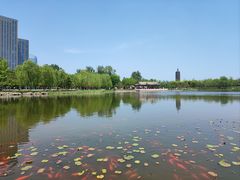 -西海子公园