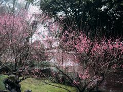 -南山植物园