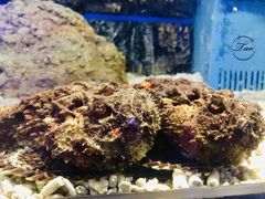 -常州海昌海洋探索馆