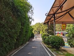 -关山古镇