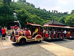 东部华侨城茵特拉根酒店-深圳东部华侨城茵特拉根酒店