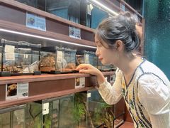 -帕帕拉兹宠物(亚洲旗舰店)