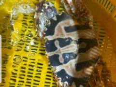 -怡园酒家(陈政路店)