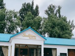 -Sultan pakistan苏单巴基斯坦