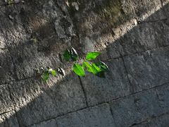 -桂林独秀峰王城景区