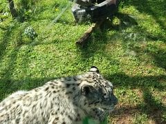 -青藏高原野生动物园