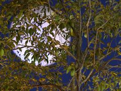 -横店影视城梦幻谷园区