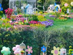 -上海共青森林公园