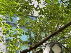 -小童心大艺术儿童美术馆(上海电影博物馆校区)