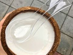 -椰爺爺·椰子冻砵仔糕