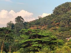 -水濂山森林公园