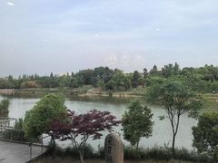 -仙林宾馆-餐厅